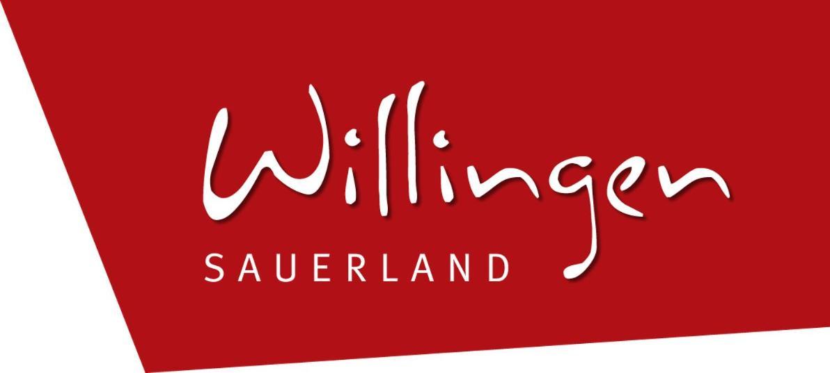 Friends & Family Domizil Willingen Apartment Willingen  Ngoại thất bức ảnh